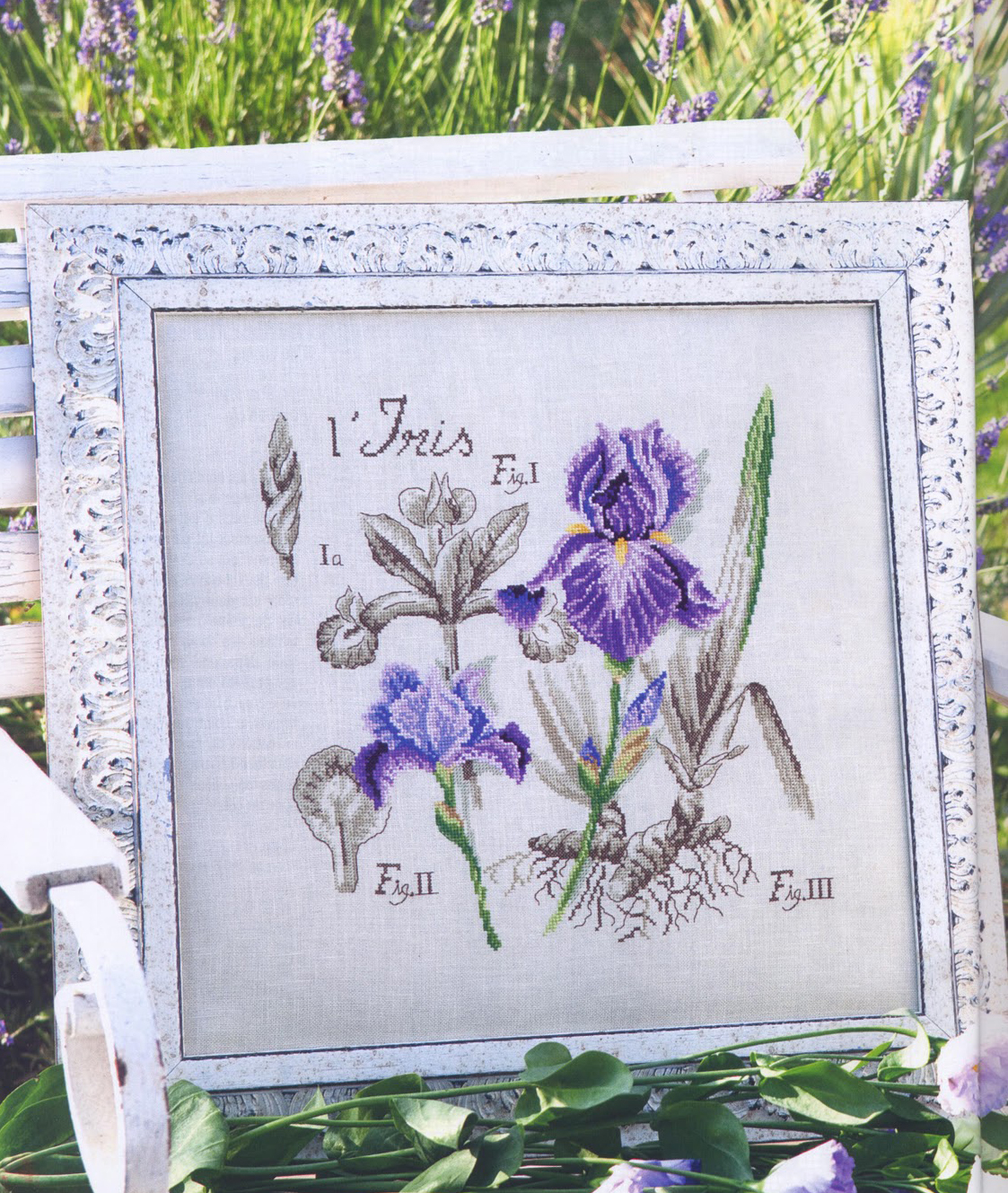 Ирис / Iris - ботанический этюд V.Enginger, набор для вышивания крестом Les brodeuses parisiennes