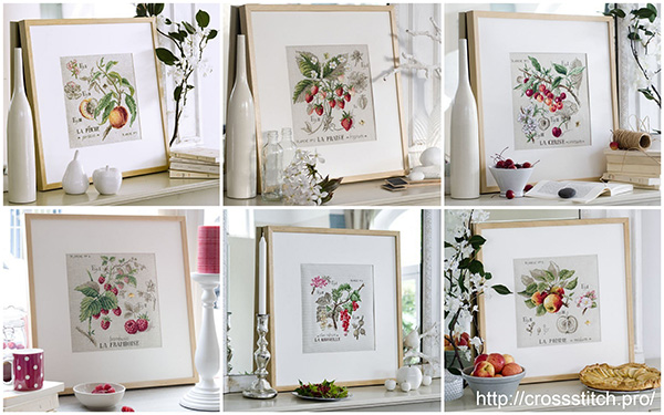 etude-botanique-veronique-enginger-yagody-frukty.jpg