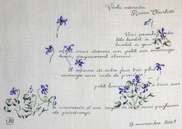 MTSA - Violette odorante 'Reine Charlotte' / Фиалка "Королева Шарлотта", схема для вышивания крестом