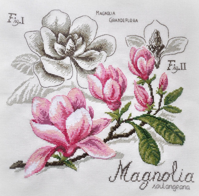 Магнолия / Magnolia  - ботанический этюд V.Enginger, набор для вышивания крестом Les brodeuses parisiennes
