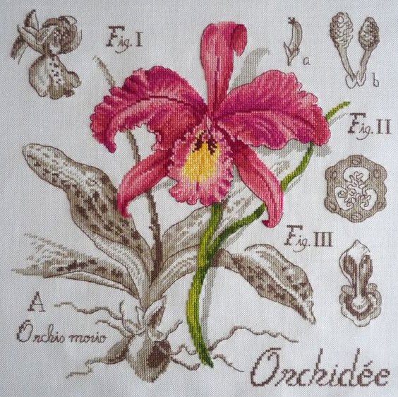 Орхидея / Orchidee - ботанический этюд Veronique Enginger (Les brodeuses parisiennes), Орхидея / Orchidee - ботанический этюд Veronique Enginger (Les brodeuses parisiennes) купить