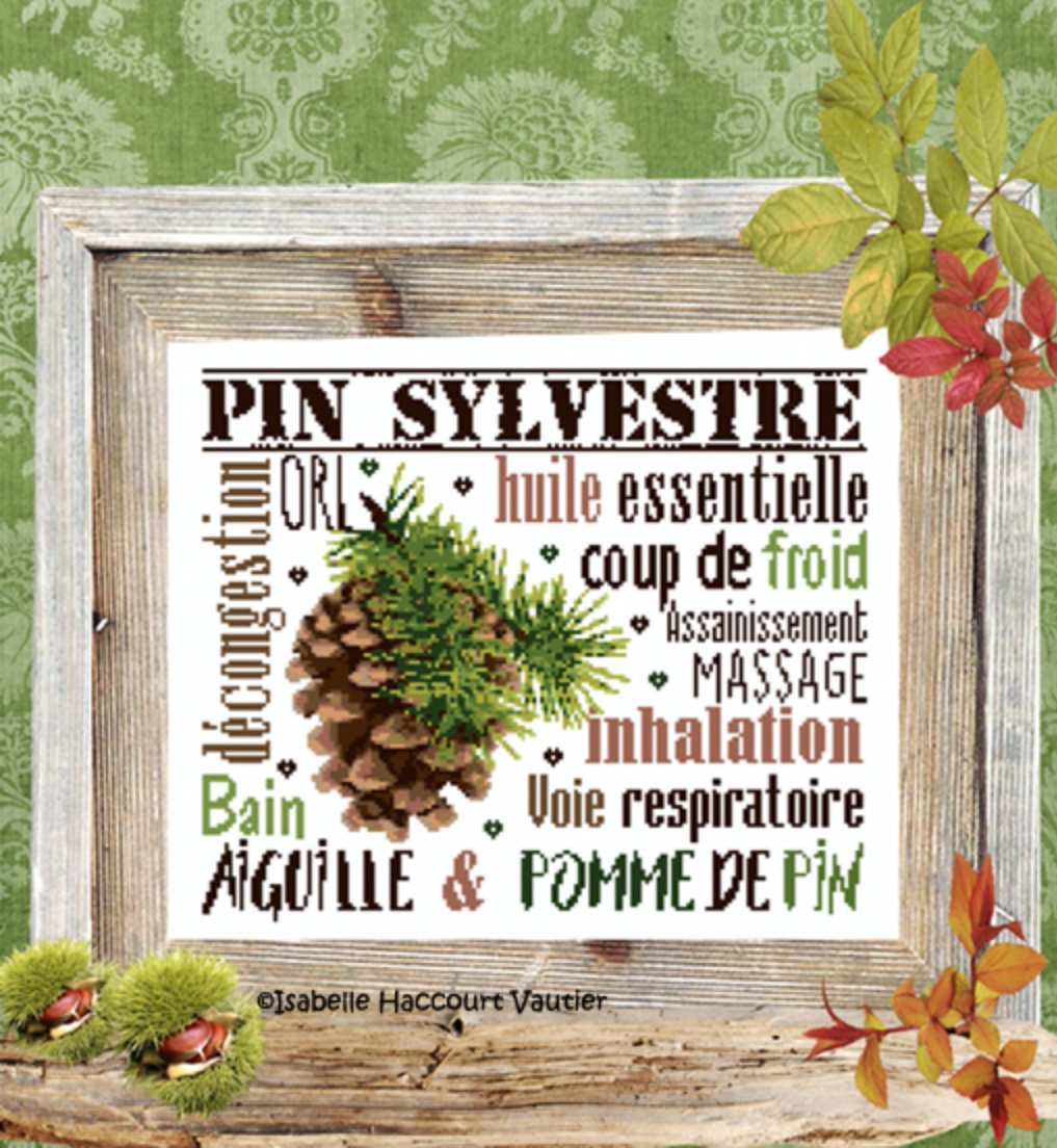 Isabelle Vautier - BDN57 Aiguille & Pomme de pin / Сосновая шишка, схема для вышивания крестом
