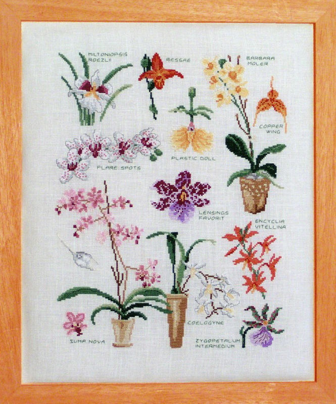 Lucas Creations - Varietes Orchidees