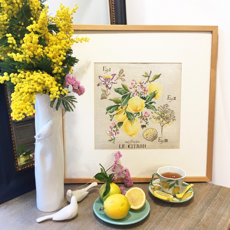 Лимоны / Citrons - ботаника V.Enginger, набор для вышивания крестом Les brodeuses parisiennes