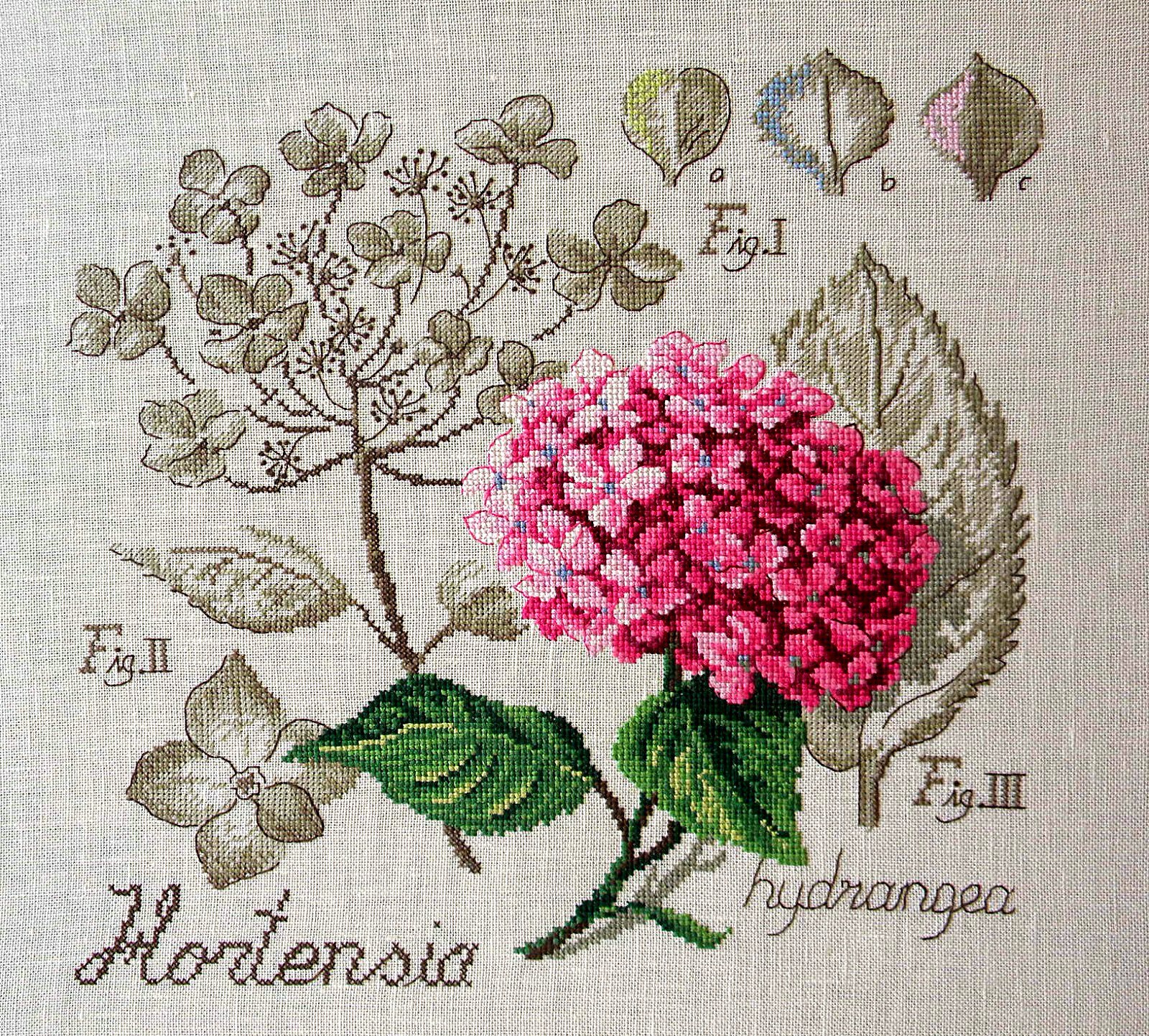 Гортензия / Hortensia - ботанический этюд Veronique Enginger, набор для вышивания крестом Les brodeuses parisiennes