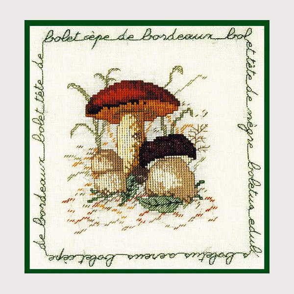Le bonheur des dames - 1682 Bolet cepe de bordeaux / Mushroom cep