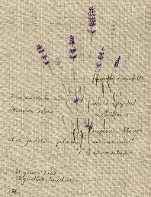 French Lavender Французская лаванда Перевыпуск Dimensions | MilleFleur