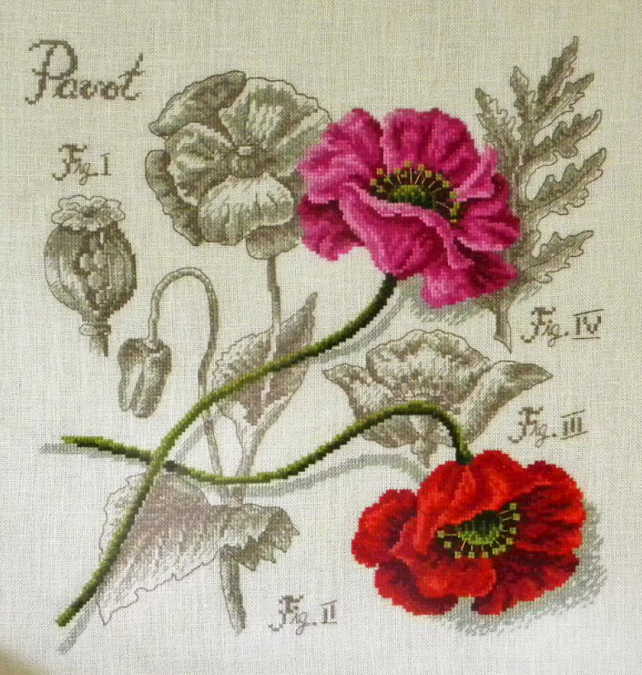 Мак / Pavot - ботанический этюд V.Enginger, набор для вышивания крестом Les brodeuses parisiennes