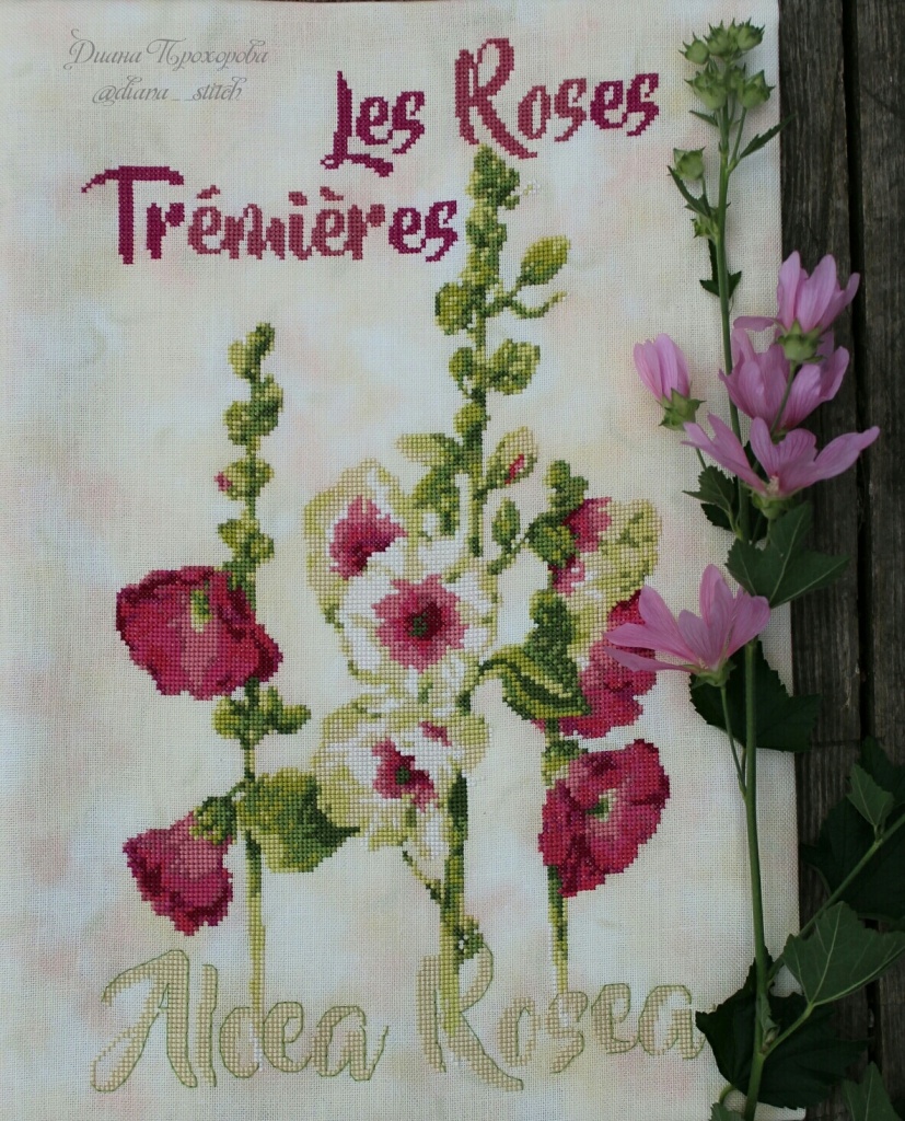 Isabelle Vautier, ISA29 Les Roses Tremieres, Мальва, вышивка крестом, Изабель Вотье